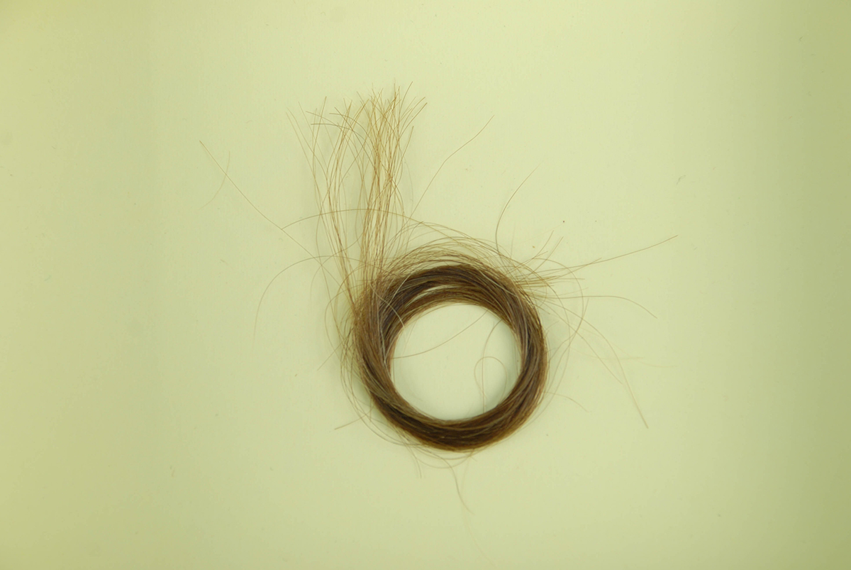 A lock of Phoebe Brashear's hair, Heinz History Center.