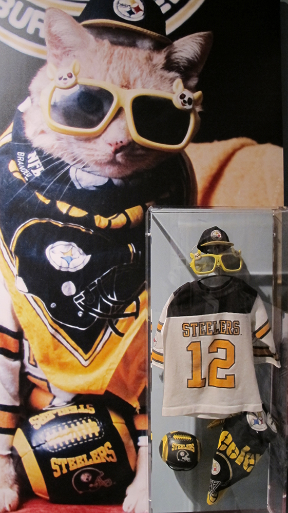 steelers cat jersey