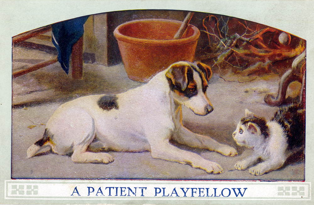 “A Patient Playfellow,” postcard, c. 1900. Pets were often seen as a way for children to learn good behavior and caring for others. General Postcard Collection, Detre Library & Archives at the History Center.