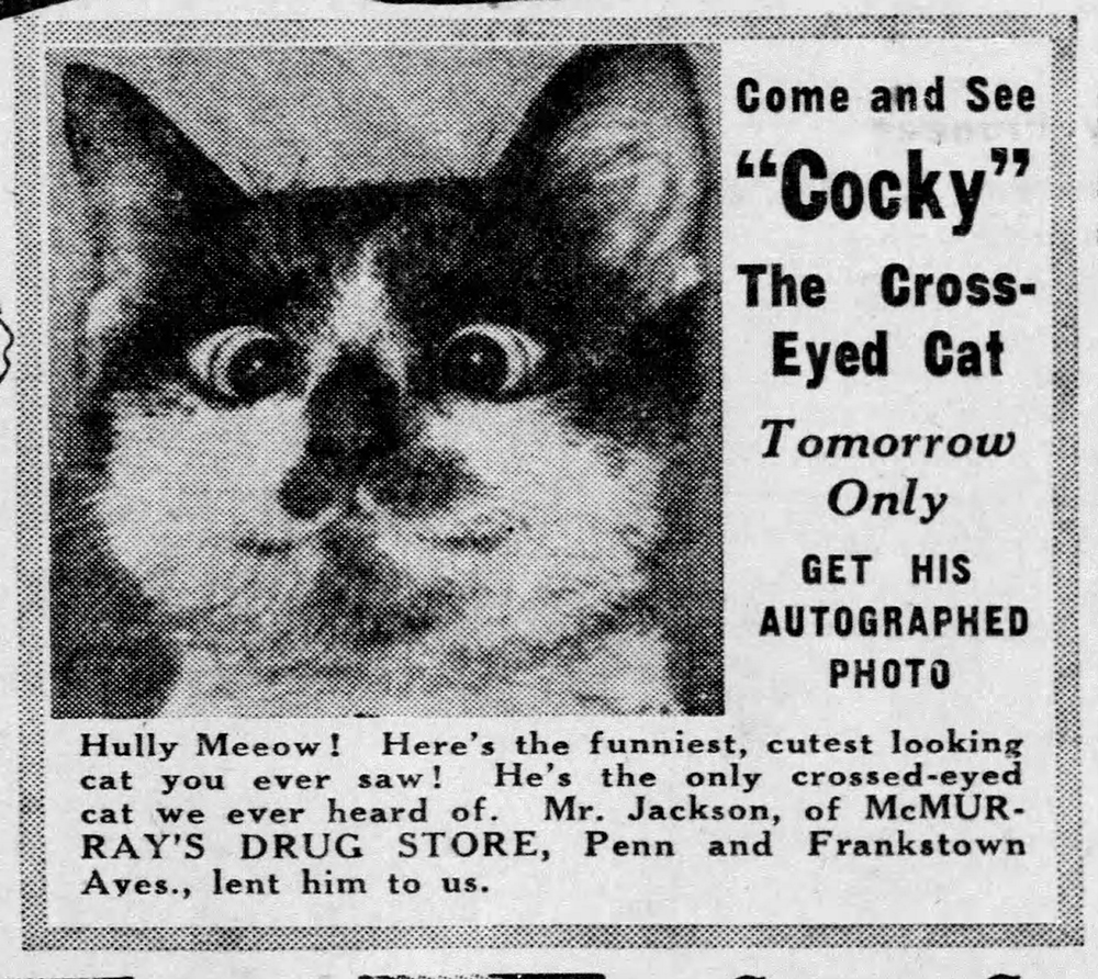 “Cocky” the cross-eyed cat became a minor Pittsburgh celebrity in the 1940s. Pittsburgh Press, Friday, June 21, 1940.