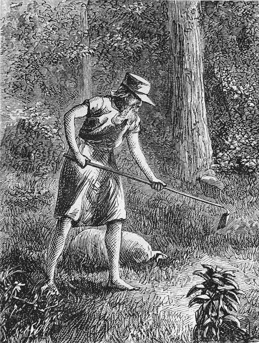 Johnny Appleseed Planting Apple Seeds in Wilderness