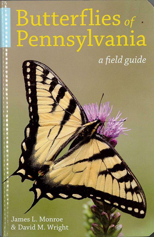 Butterflies of Pennsylvania: a field guide