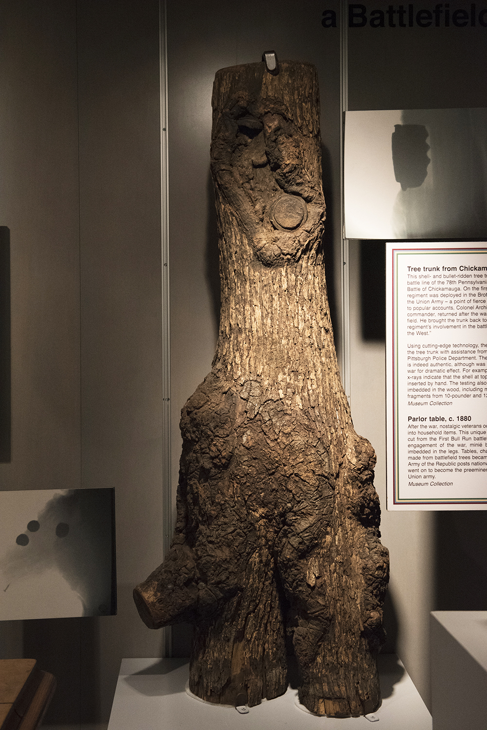 Tree trunk from Chickamauga Battlefield, 1863 | Special Collections Gallery, Heinz History Center