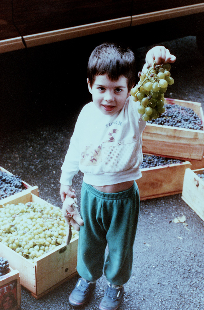 Third-generation winemaker Per Argentine shows off grapes, 1985. Gift of Peter Argentine, 1995.0380, Detre Library & Archives at the History Center.