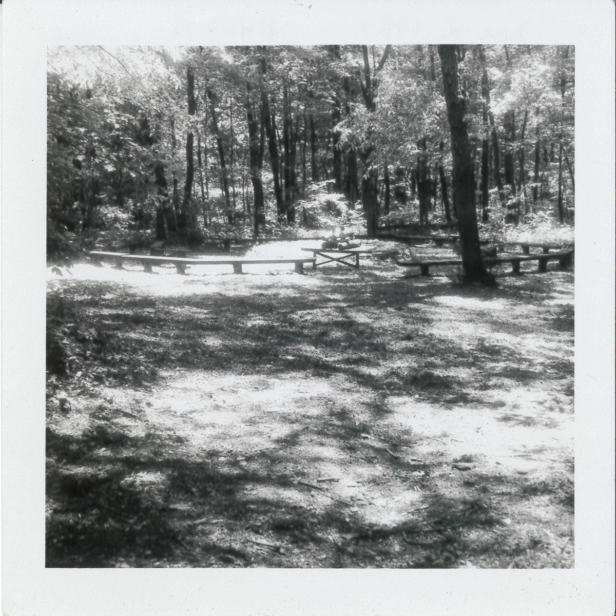 One of the first things to be built at Camp Meadowcroft was the campfire circle. This area is currently just inside the palisade of the Monongahela Indian Village today.