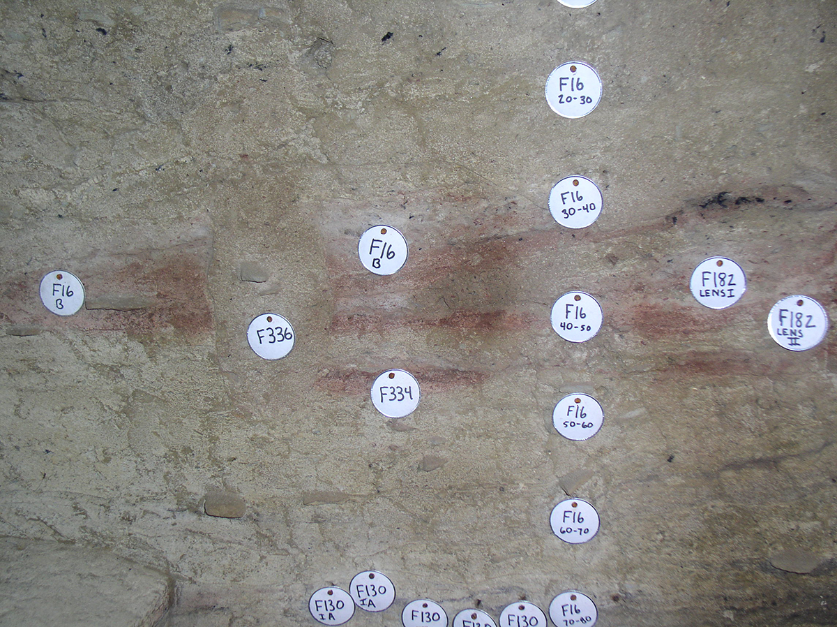 A close-up showing evidence of ancient campfires built at the site. The heat of the fire altered the sandstone particles to the red color. Also evident are bits of charcoal produced in the fires. Tag F336 indicates where a post hole was dug down through the existing fire pit at a later date.