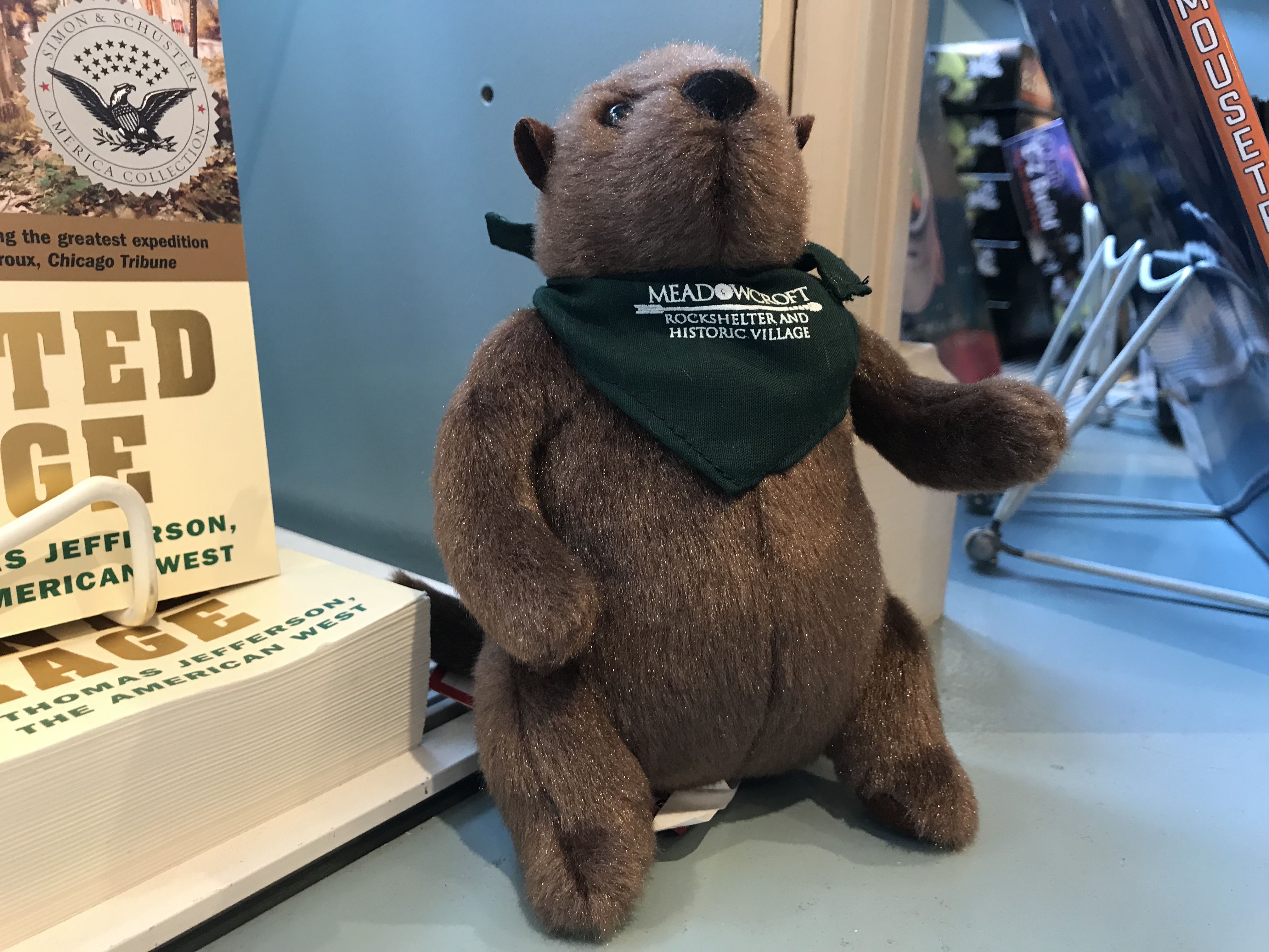 Meadowcroft Groundhog | History Center Museum Shop