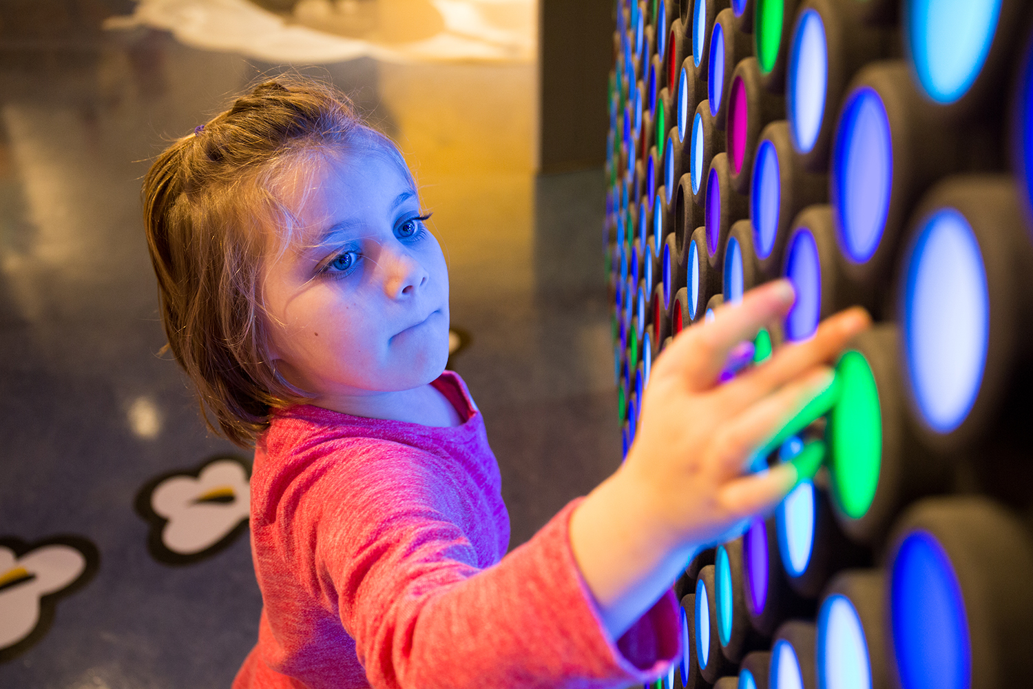 Discovery Place Discovery Place