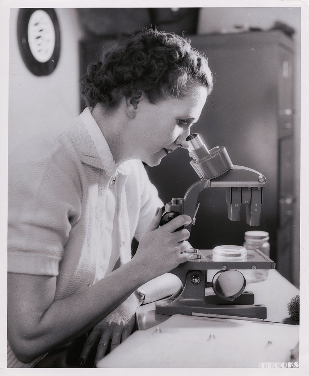 Rachel Carson