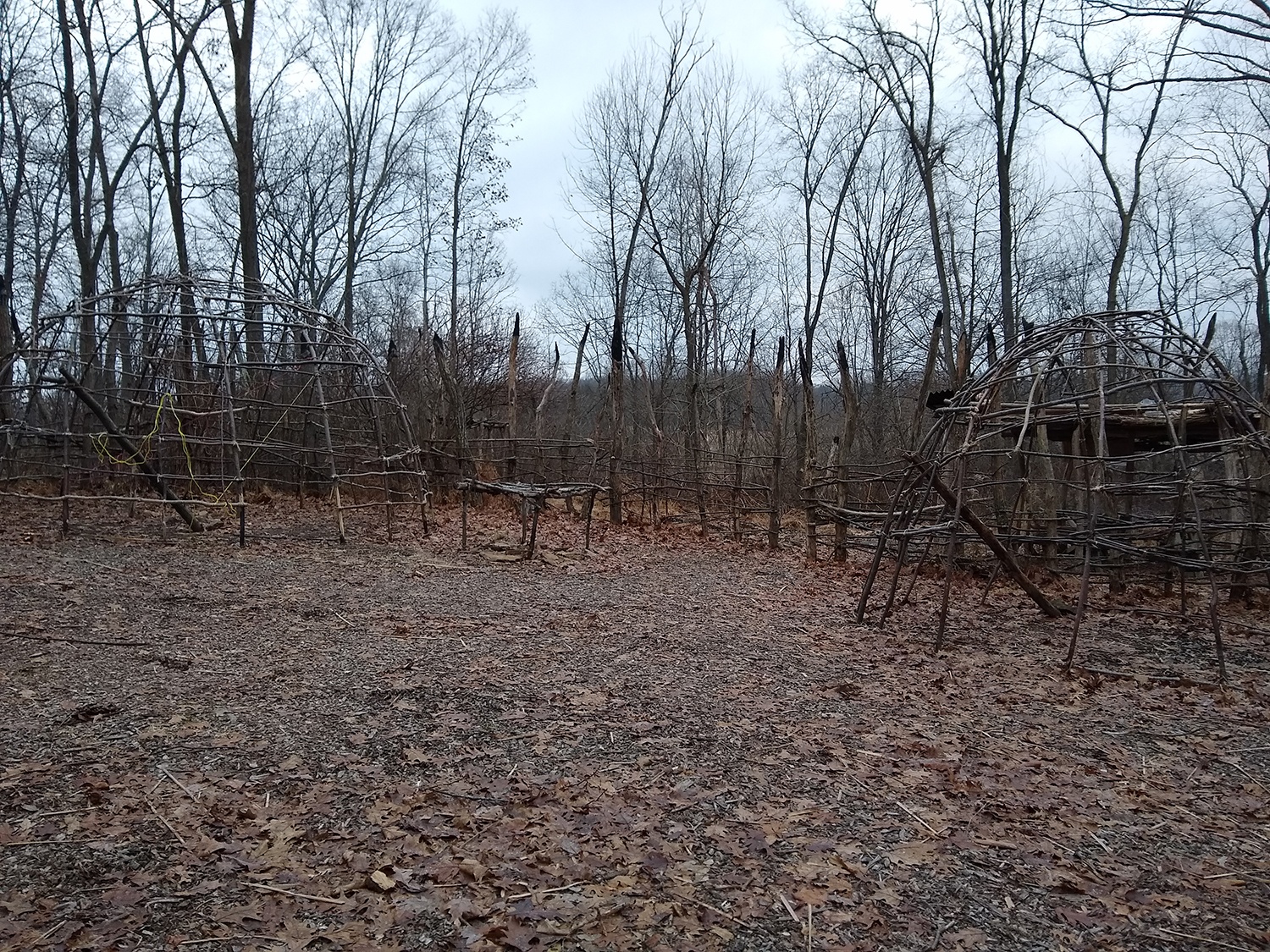 Matting removed on the wigwams