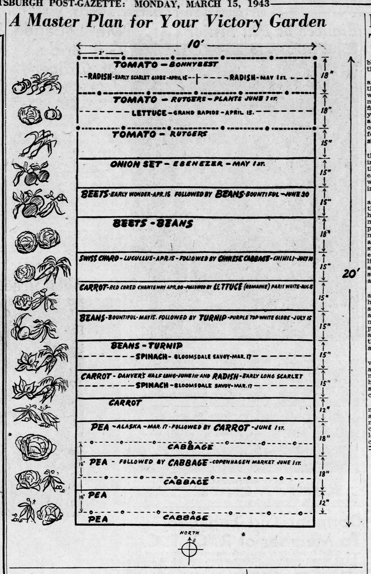 A Master Plan for your Victory Garden, newspaper diagram, 1943.