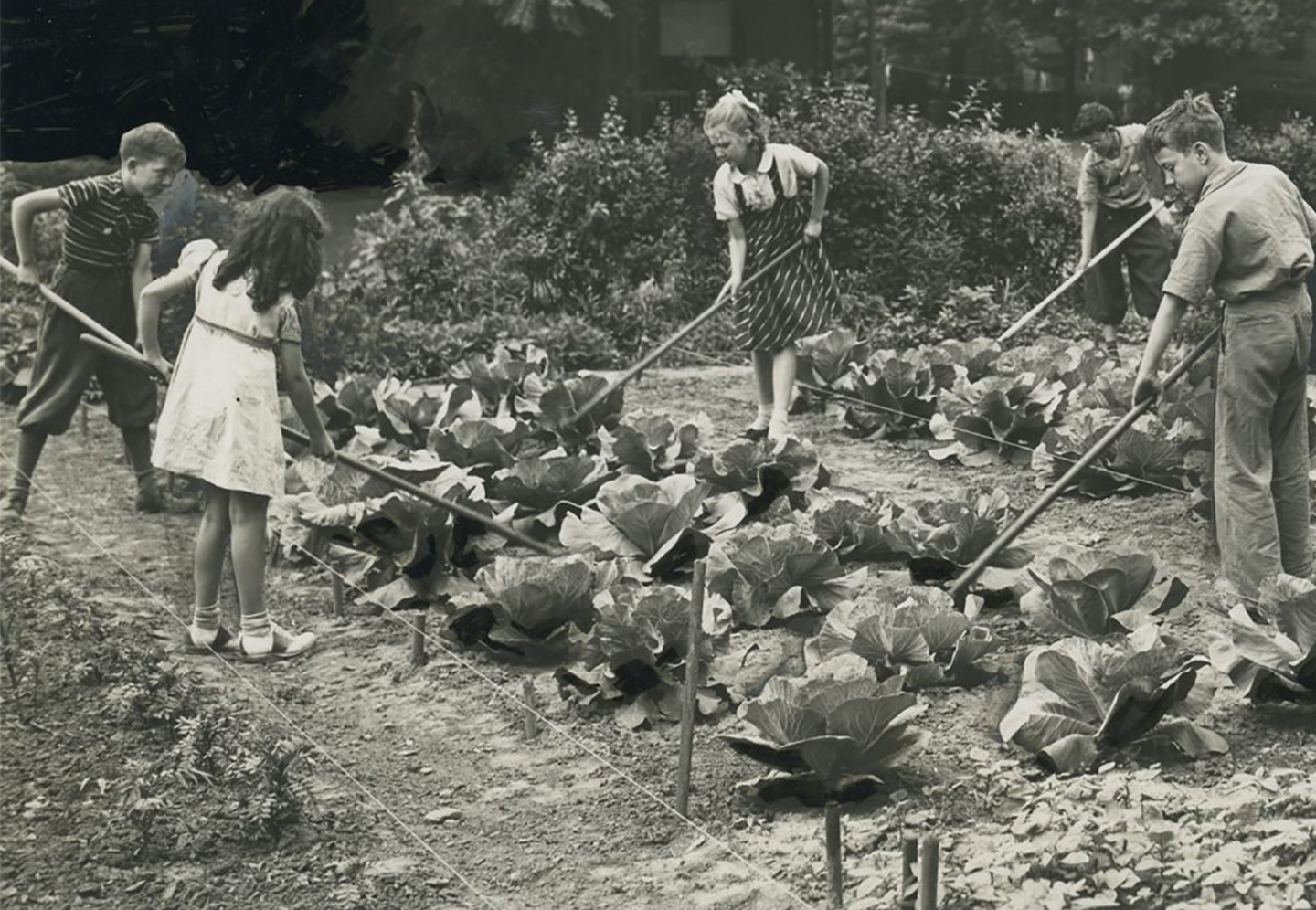 All-Out for Victory Gardens! - Heinz History Center