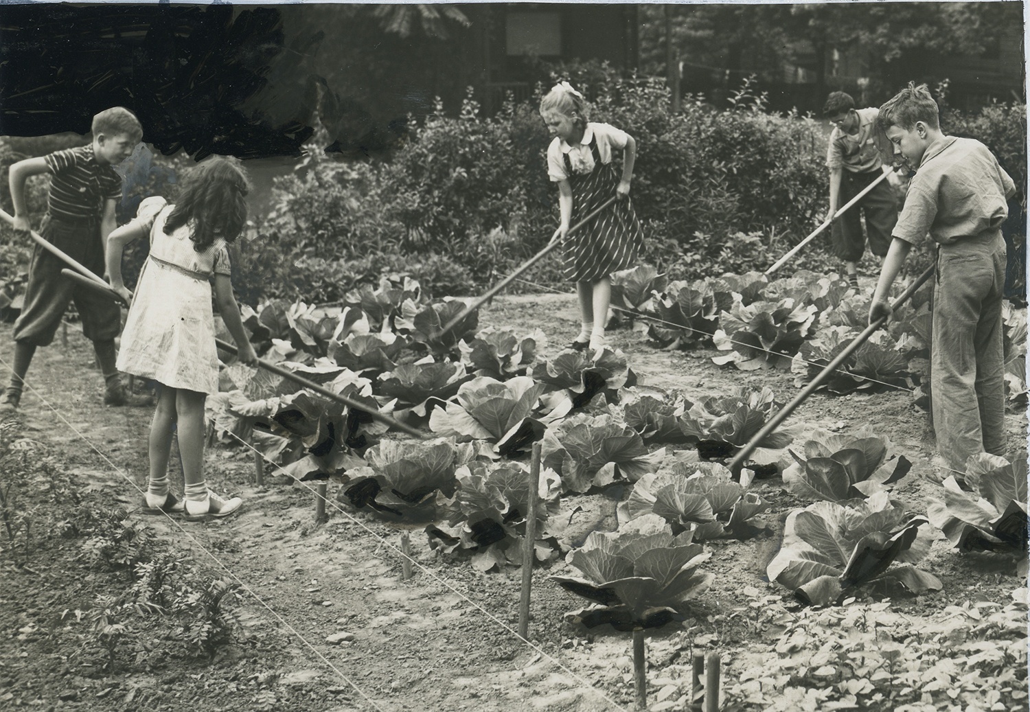 Children from Holmes Elementary School work on a school garden, (detail of full photograph) c. 1940.