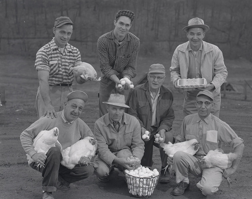 Group of men posing with chickens and eggs a the Wiltshire Poultry Farm, 1957.