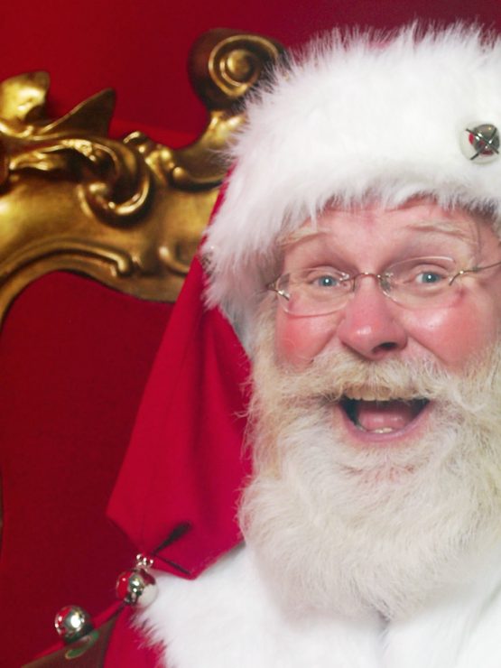 A man dressed as Santa with a white beard, red hat, and glasses sits on a gold chair before a red background at the History Center. *AI generated alt text