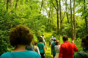 Visitors walking along a wooded trail in Penn's Woods, surrounded by tall trees and dense foliage on a bright, sunny day. *AI generated alt text