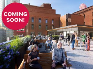 Visitors gather on a rooftop patio with seating, plants, and city skyline. A pink circle reads COMING SOON!. *AI generated alt text