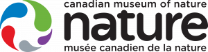 The museum logo features a circular abstract design in blue, green, red, gray, and purple with bilingual text: the museum. *AI generated alt text