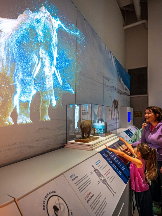 A woman and a child view a woolly mammoth exhibit in the museum, featuring a glowing mammoth projection on the wall and several informational panels in front of the display. *AI generated alt text