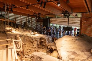 A group of people observe an indoor fossil excavation site at the museum, with wooden beams across the ceiling and natural light shining through slatted walls. *AI generated alt text
