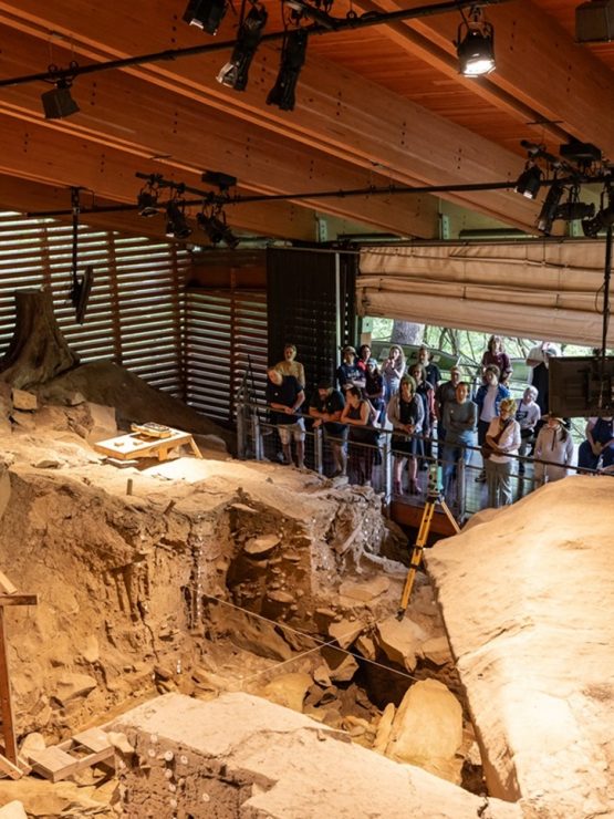 A group of people observe an indoor fossil excavation site at the museum, with wooden beams across the ceiling and natural light shining through slatted walls. *AI generated alt text