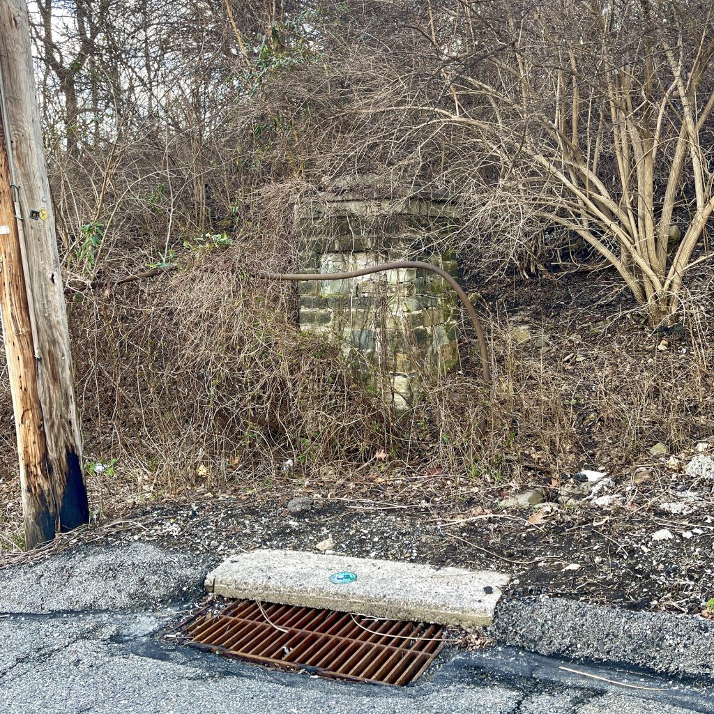 A rusty metal railing and stone steps ascend a small hill densely covered with leafless bushes, positioned beside a cracked roadway. Nearby are a sewer grate and a wooden utility pole. *AI generated alt text