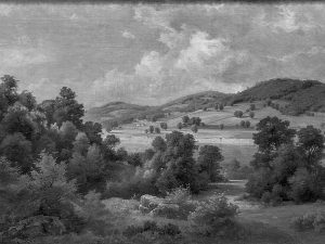 Black and white photograph showing a landscape with rolling hills, scattered trees, and distant fields beneath a partly cloudy sky. Dense foliage is visible in the foreground, while the hills extend into the background. *AI generated alt text