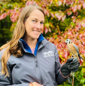 A museum staff member wearing a grey jacket holds a small American kestrel on her gloved hand. *AI generated alt text