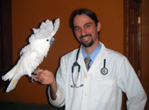 A veterinarian in a white coat and stethoscope holding a white cockatoo on his hand at the museum. *AI generated alt text